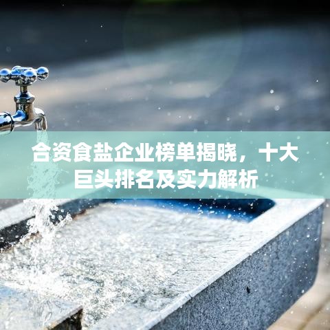 合资食盐企业榜单揭晓，十大巨头排名及实力解析