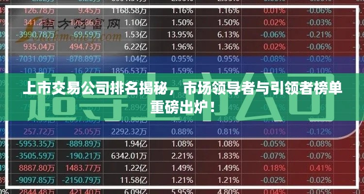 上市交易公司排名揭秘，市场领导者与引领者榜单重磅出炉！