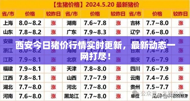 西安今日猪价行情实时更新，最新动态一网打尽！