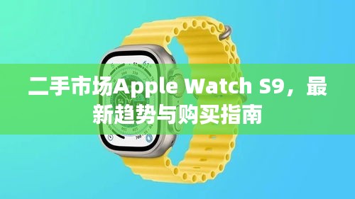 二手市场Apple Watch S9，最新趋势与购买指南