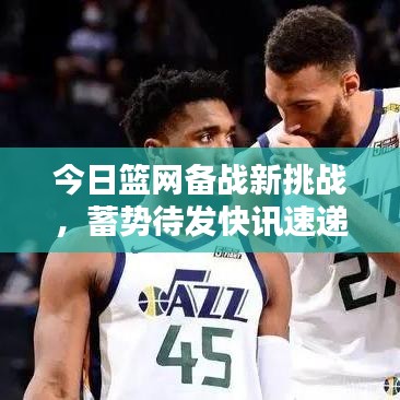今日篮网备战新挑战，蓄势待发快讯速递