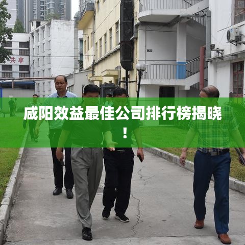 咸阳效益最佳公司排行榜揭晓！