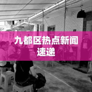 九都区热点新闻速递