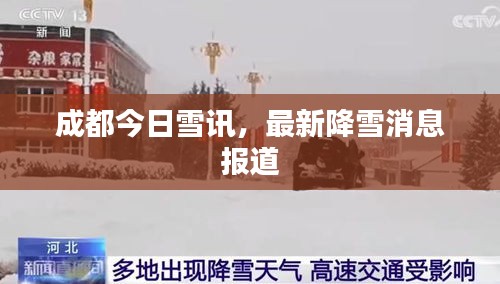 鸟惊鼠窜 第2页
