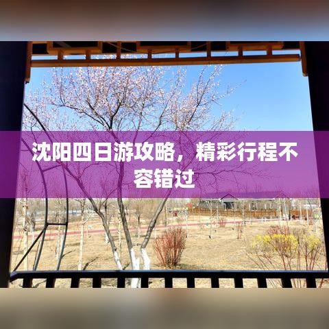 沈阳四日游攻略，精彩行程不容错过