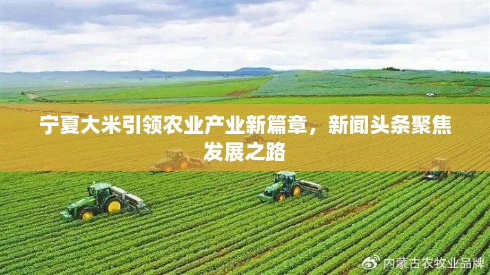 宁夏大米引领农业产业新篇章，新闻头条聚焦发展之路