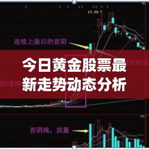 今日黄金股票最新走势动态分析