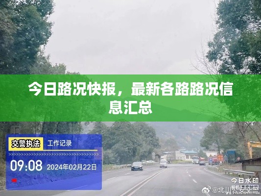 体育 第119页