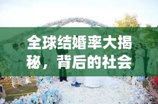 全球结婚率大揭秘，背后的社会文化现象深度探讨