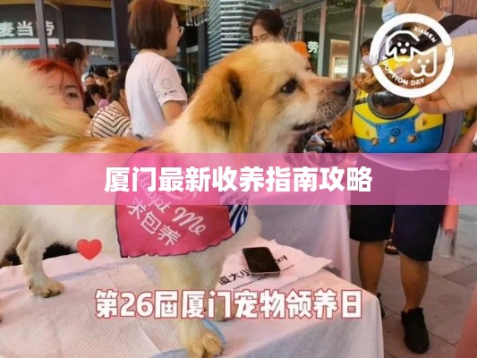 厦门最新收养指南攻略