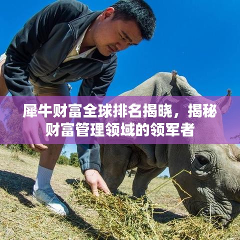 犀牛财富全球排名揭晓，揭秘财富管理领域的领军者