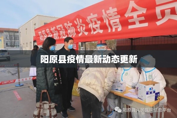 阳原县疫情最新动态更新