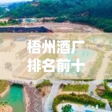 梧州酒厂排名前十揭晓，探寻酿酒业翘楚的足迹