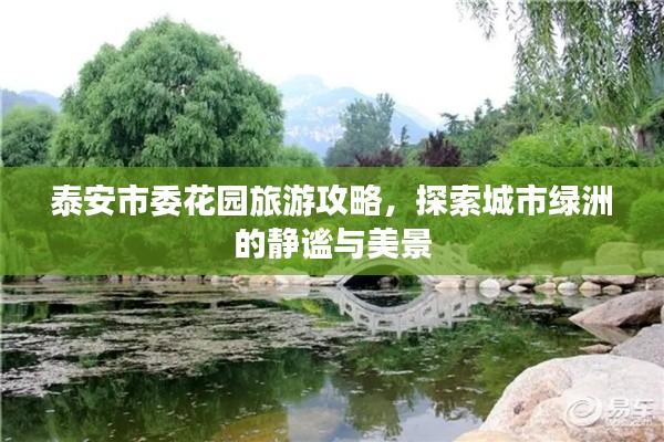 泰安市委花园旅游攻略，探索城市绿洲的静谧与美景