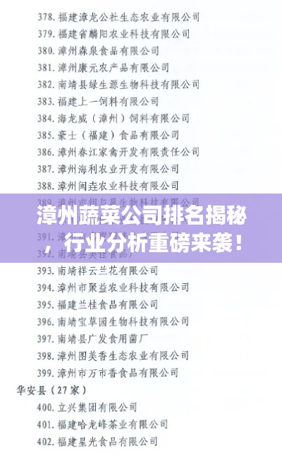 漳州蔬菜公司排名揭秘，行业分析重磅来袭！