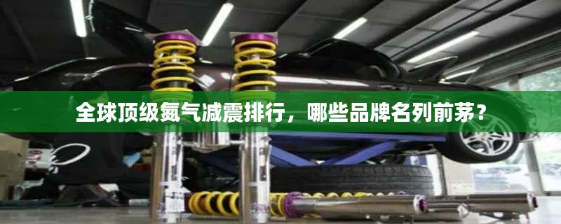 全球顶级氮气减震排行，哪些品牌名列前茅？