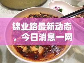 锦业路最新动态，今日消息一网打尽