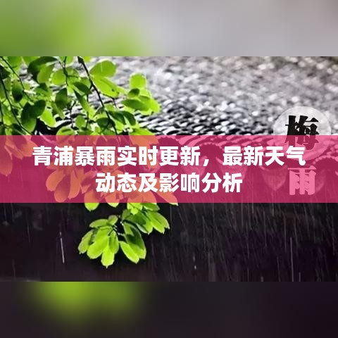 青浦暴雨实时更新，最新天气动态及影响分析