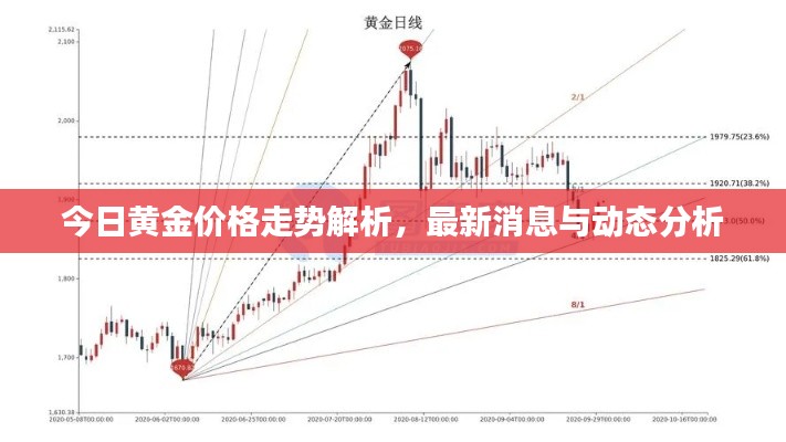 今日黄金价格走势解析，最新消息与动态分析