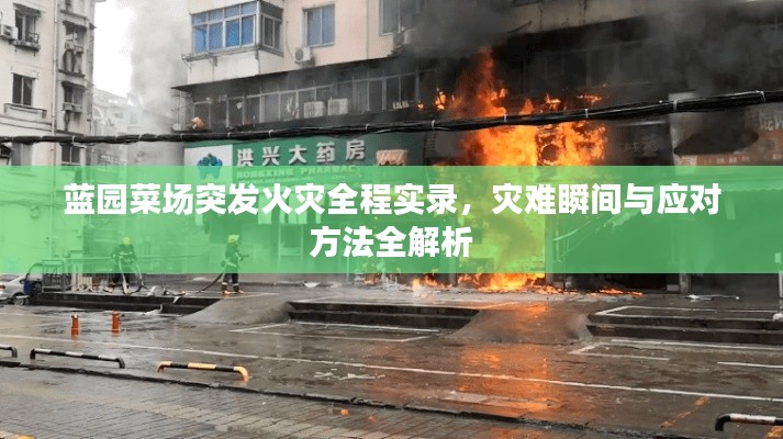 蓝园菜场突发火灾全程实录，灾难瞬间与应对方法全解析