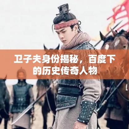 卫子夫身份揭秘，百度下的历史传奇人物