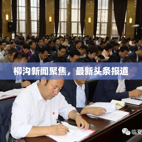 柳沟新闻聚焦，最新头条报道