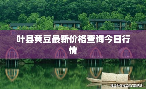 叶县黄豆最新价格查询今日行情