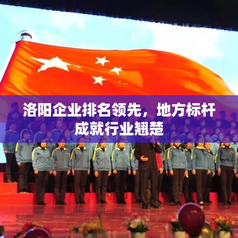 洛阳企业排名领先，地方标杆成就行业翘楚
