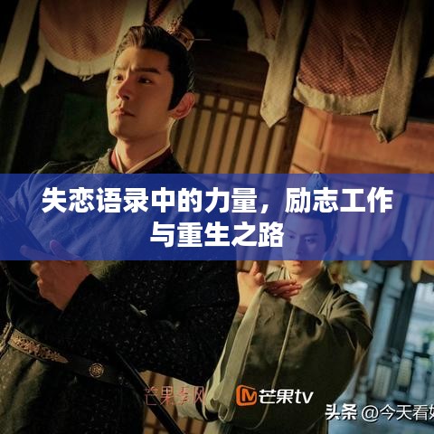 失恋语录中的力量，励志工作与重生之路
