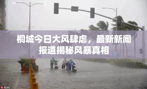 桐城今日大风肆虐，最新新闻报道揭秘风暴真相