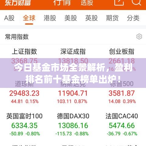 今日基金市场全景解析，盈利排名前十基金榜单出炉！