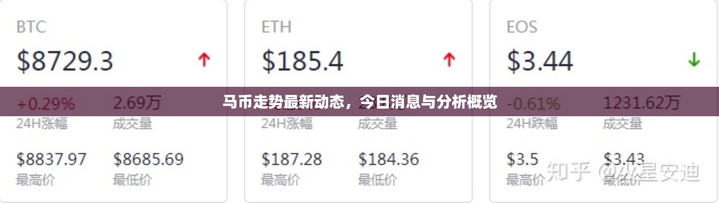 马币走势最新动态，今日消息与分析概览