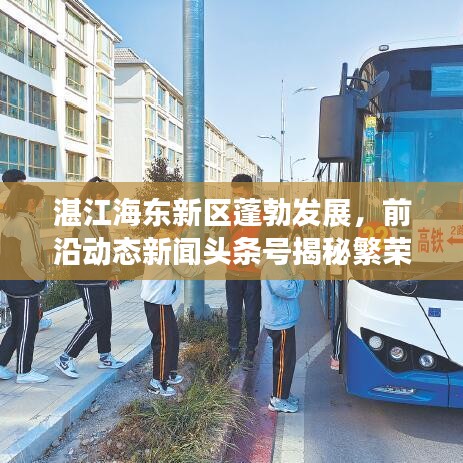 湛江海东新区蓬勃发展，前沿动态新闻头条号揭秘繁荣景象