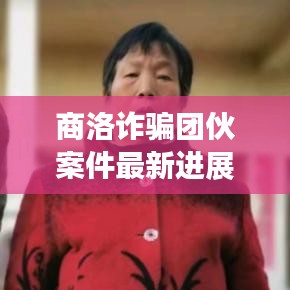 商洛诈骗团伙案件最新进展揭秘