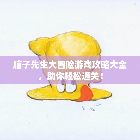 脑子先生大冒险游戏攻略大全，助你轻松通关！
