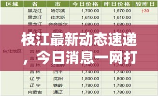 关于我们 第125页