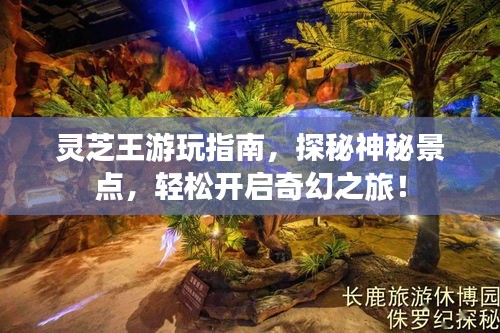 灵芝王游玩指南，探秘神秘景点，轻松开启奇幻之旅！