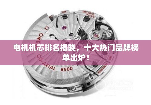 电机机芯排名揭晓，十大热门品牌榜单出炉！
