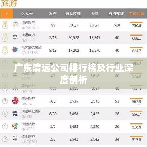 广东清远公司排行榜及行业深度剖析