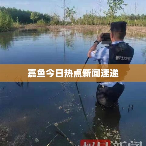嘉鱼今日热点新闻速递