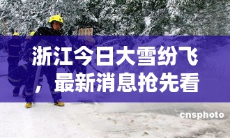 浙江今日大雪纷飞，最新消息抢先看