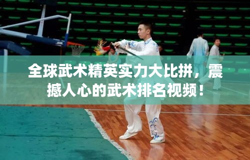 全球武术精英实力大比拼，震撼人心的武术排名视频！