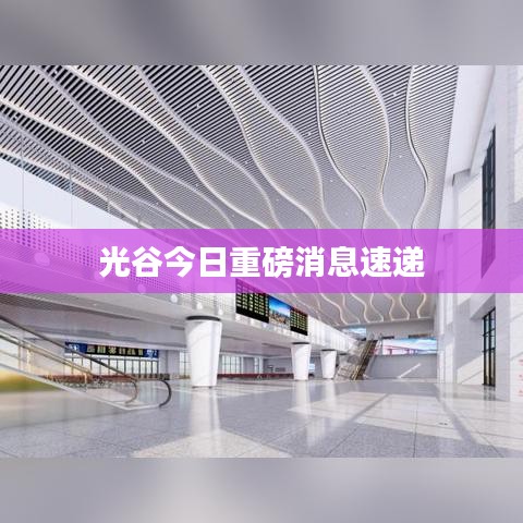 光谷今日重磅消息速递
