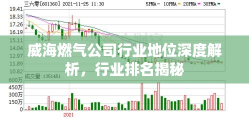 威海燃气公司行业地位深度解析，行业排名揭秘