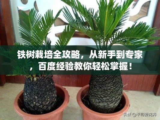 雍容尔雅 第2页