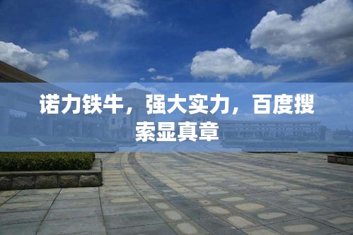诺力铁牛，强大实力，百度搜索显真章
