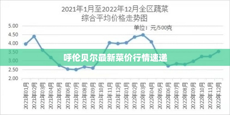 呼伦贝尔最新菜价行情速递