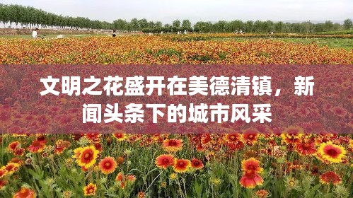 文明之花盛开在美德清镇，新闻头条下的城市风采