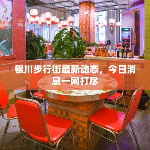 银川步行街最新动态，今日消息一网打尽