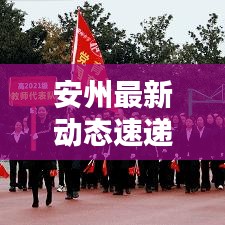 安州最新动态速递，今日最新消息汇总